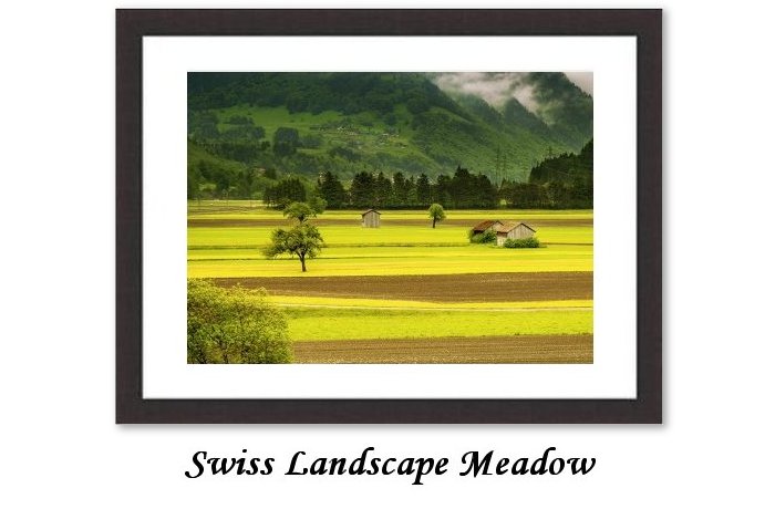 Swiss Landscape Meadow Framed Print